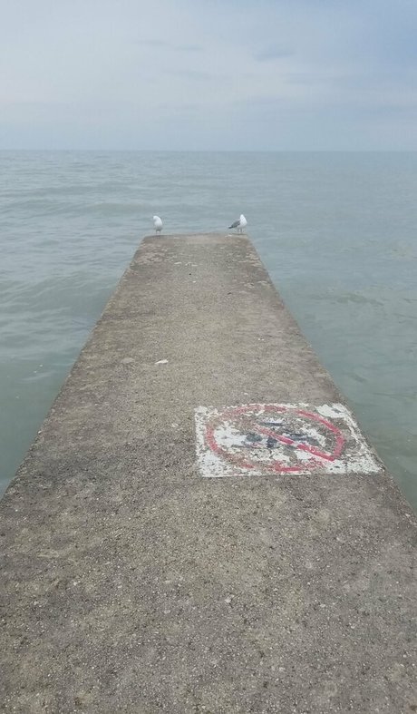 girlnumbersix pretty pornstar pics