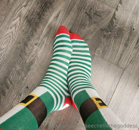 seechellethegoddess star perfect gallery