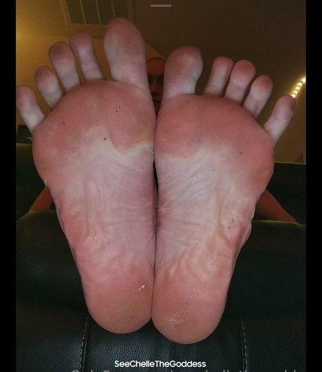 seechellethegoddess star free photo