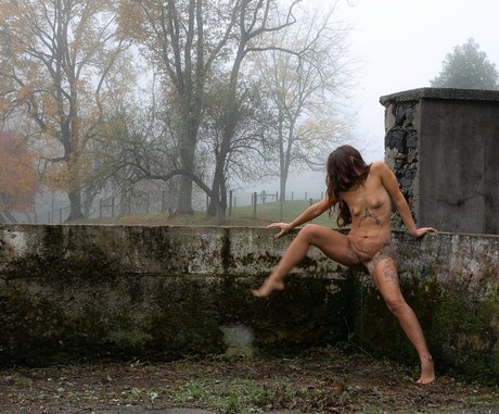 Lior Allay porn actress image