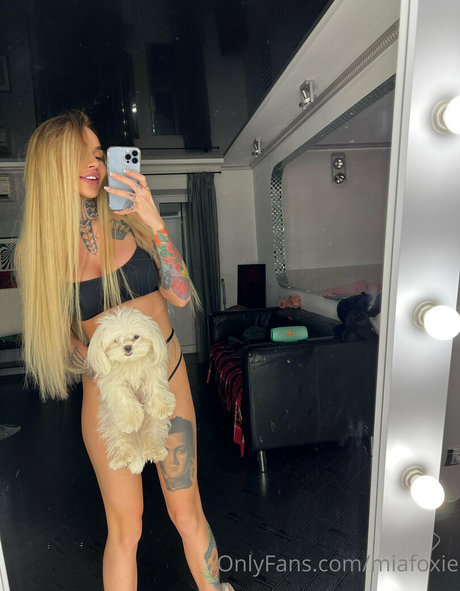 miafoxie star art gallery