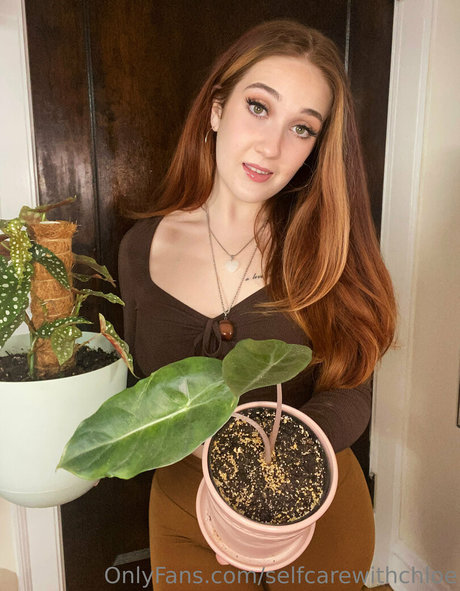 selfcarewithchloe pornstar exclusive archive