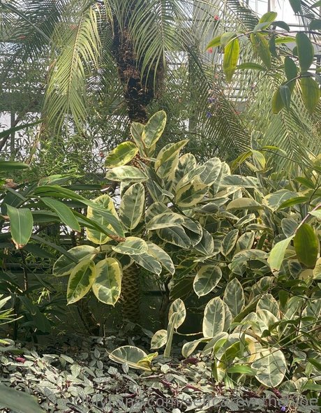 selfcarewithchloe exclusive actress img