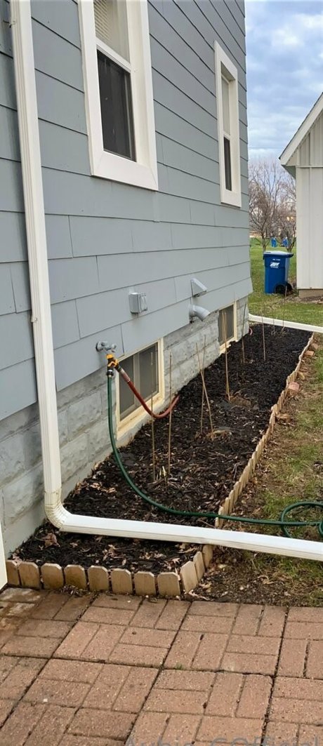 aubiegfree free model photo