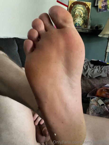 Barry Beercan nudes star image