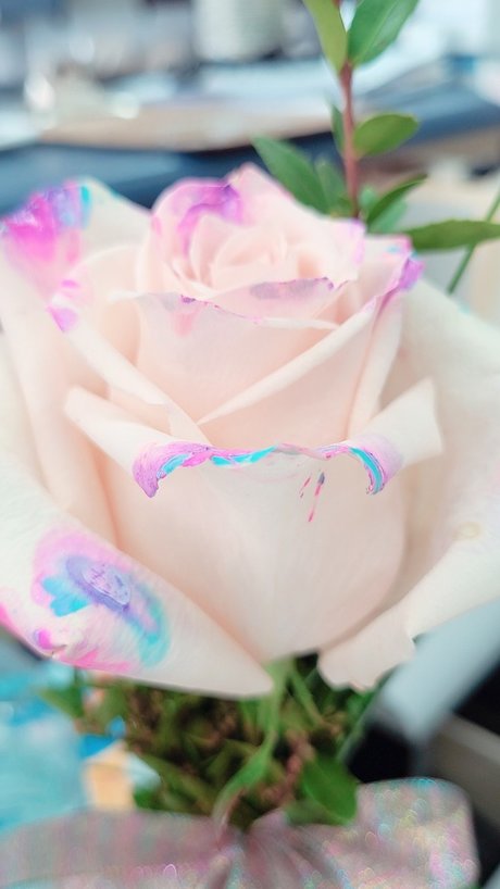 bigeddygurl model nudes gallery