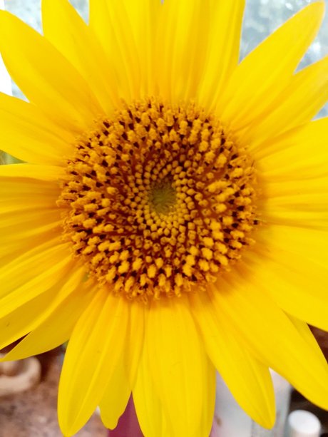 BarefootSpirit nudes actress image