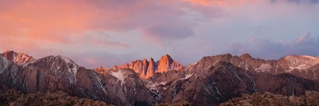 MIGUEL ANTONIO beautiful actress picture