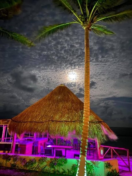 Mex4BBC perfect model image