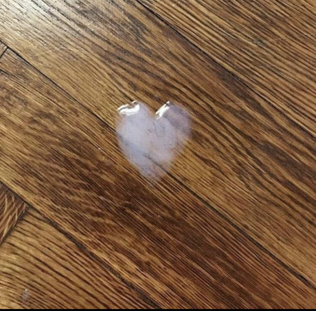 Bad Bear Cub Club free model image