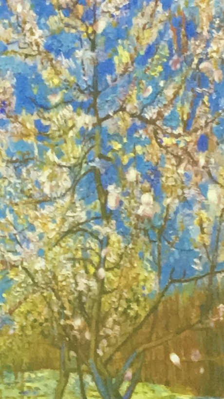 fawn_ model sexy photos