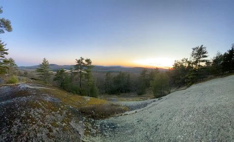 Bendover557 art pornstar images