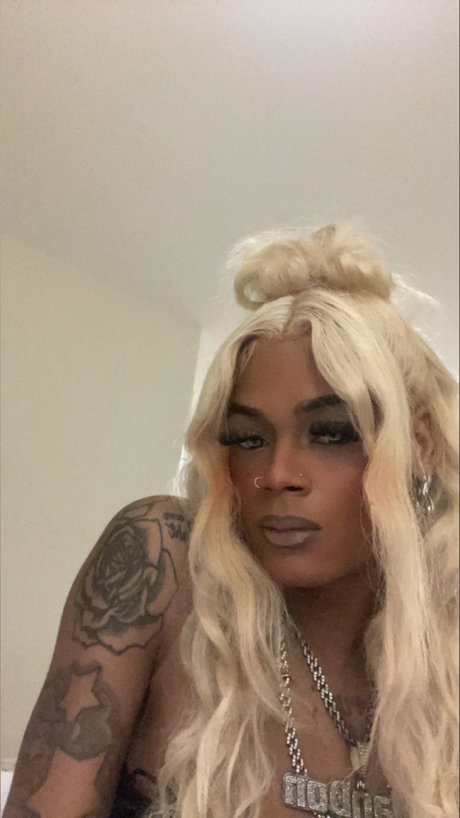 Milan The Don sex star image