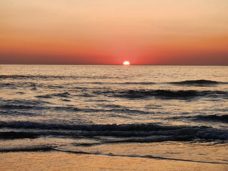 Mike Purley free actress photos