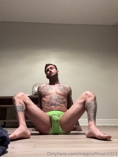 Michael A Hoffman model free img