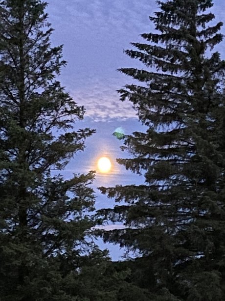 Alexander Bach top pornstar gallery