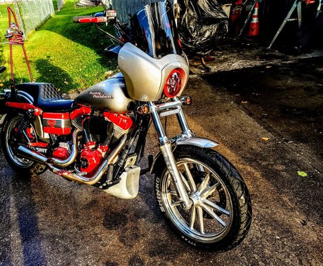 DV D nice model galleries