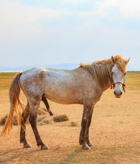 BigDickDaddy901 xxx star photos