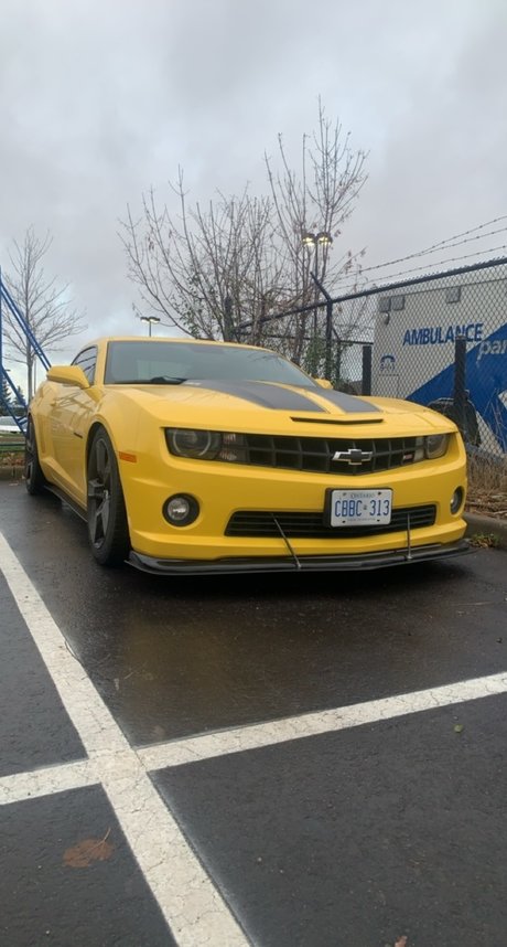 Cassian Gunawardana naked actress picture