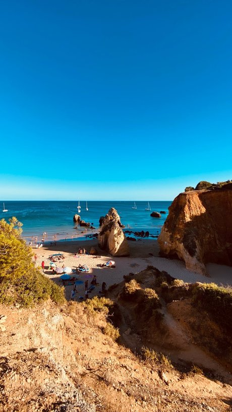 Miguel Matos hd pornstar picture