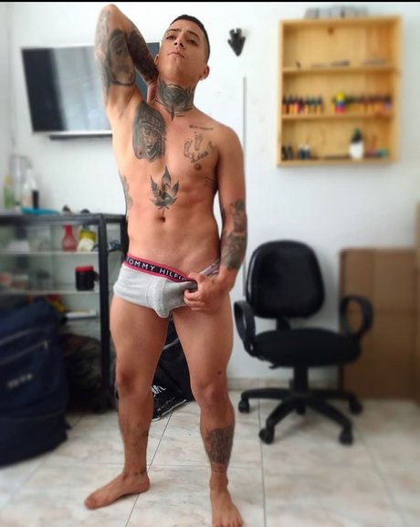 Miguel Angel Casta o star top archive