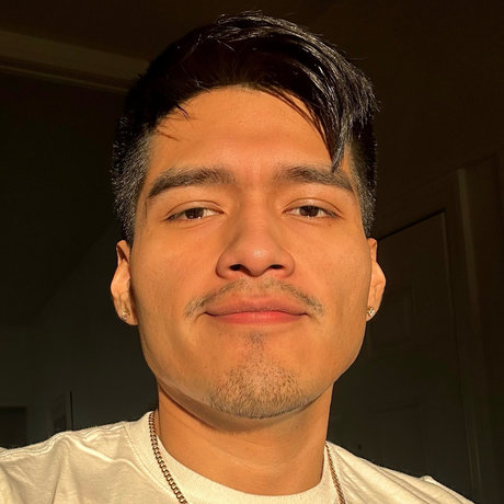 migs b star porn image