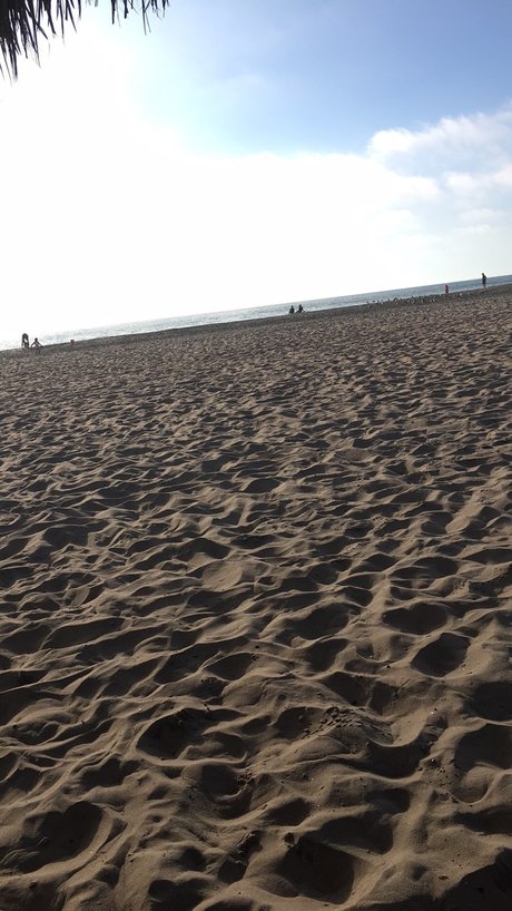 Mr Random pornstar nude galleries