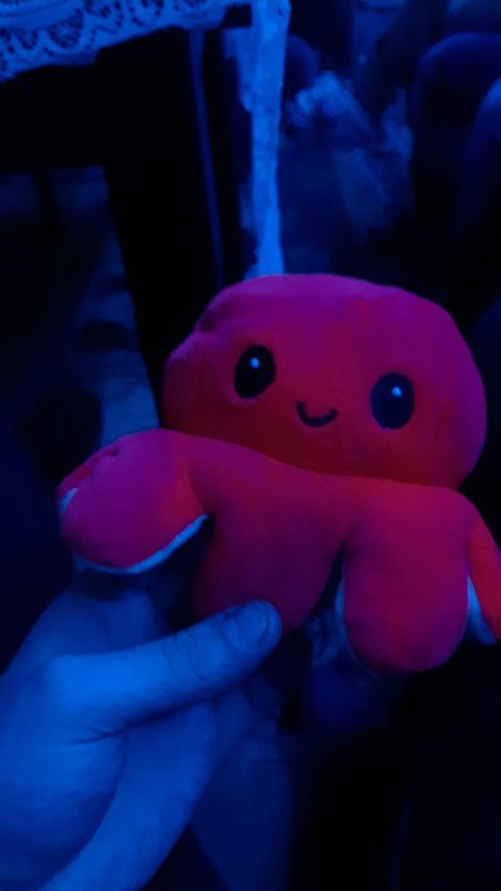 Robert Emanuel Lucaci pornographic star pictures