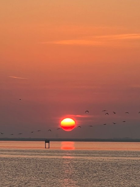 Rome_ pornstar sexy photos