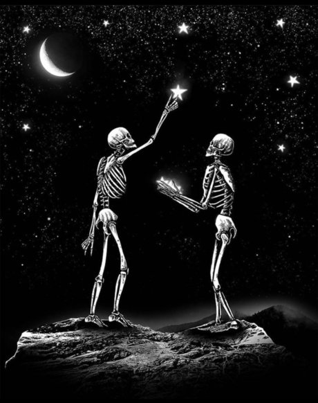 Michael D Foxxx star erotic archive