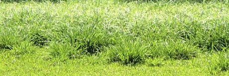 Bigwill pornstar gallery