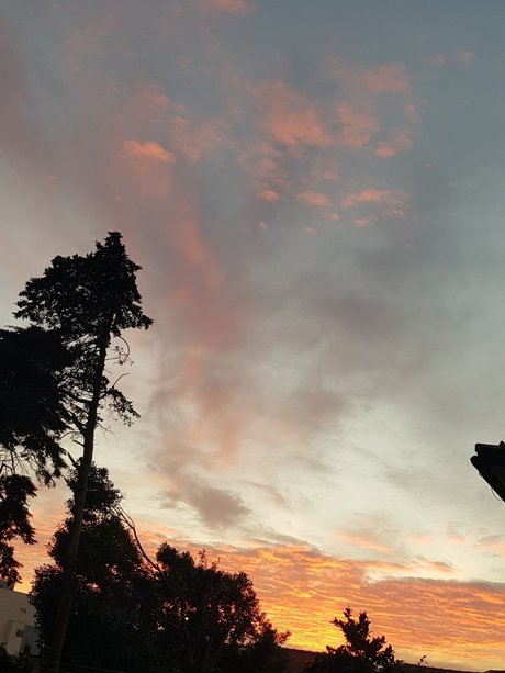 Cardoso best actress pics