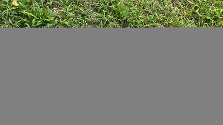 Mina Fimmel high quality star img