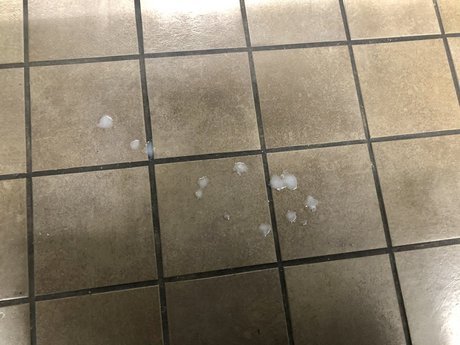 THE ASS EATER hot actress pic