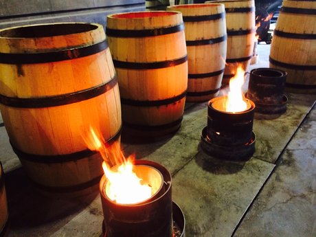 Joey Brass actress galleries