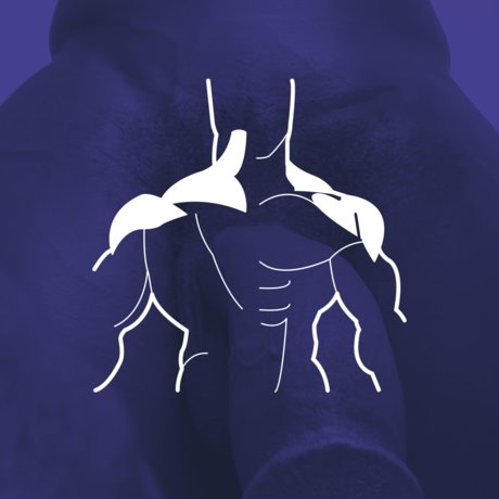 Andres Henri exclusive model pic