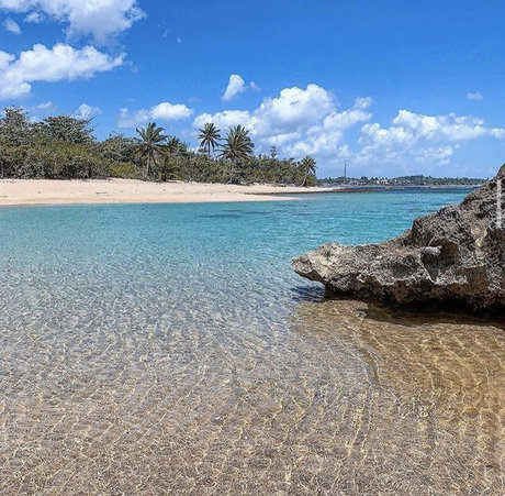 Caribbean Boy_ xxx star galleries