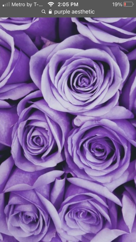 Miley World model nudes pic