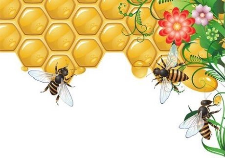 Anastasia Diavian erotic pornstar images