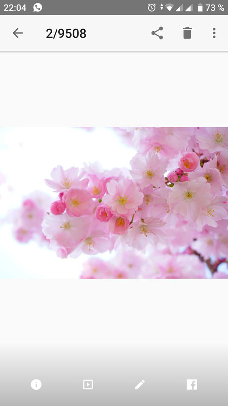 Miss Appleeee pretty actress pictures