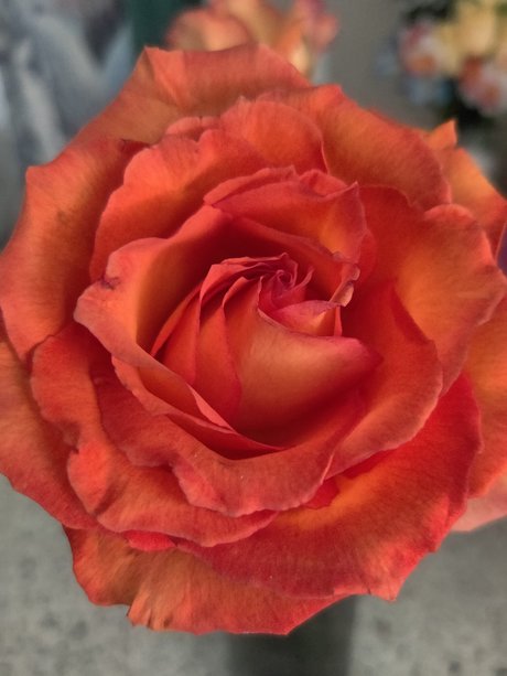 Manic_ high quality actress pics