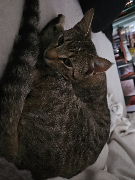 _Auntie Carrie_ model nice pics