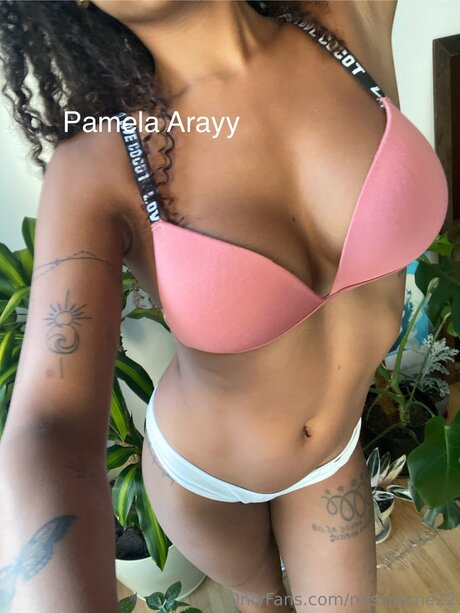 Pamela Aray_ pornstar nudes galleries