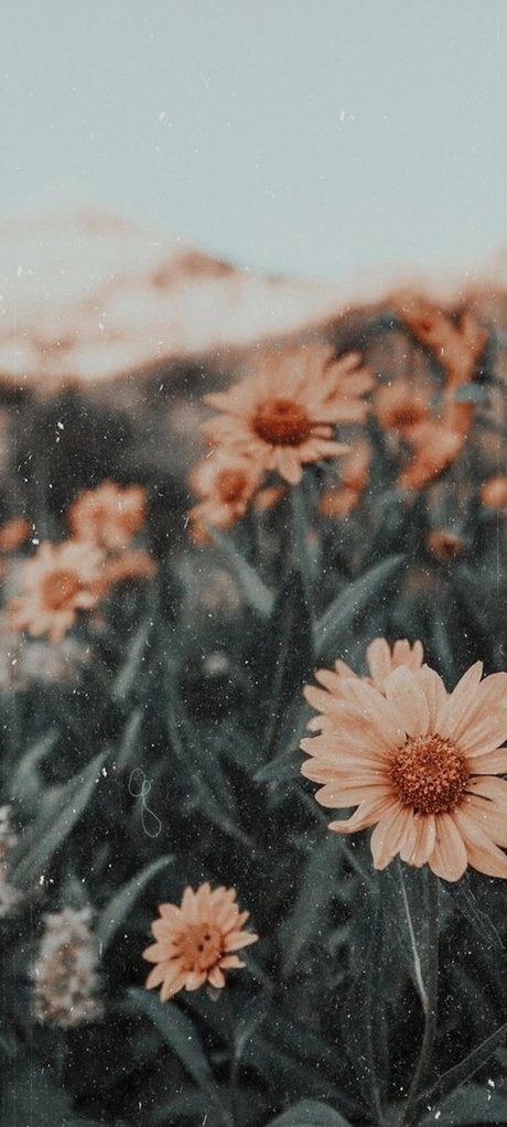 _Nicole star best archive