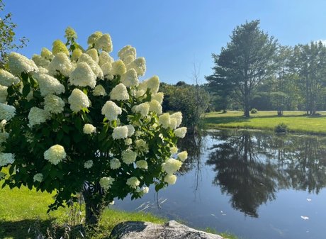 Miss Jen model archive