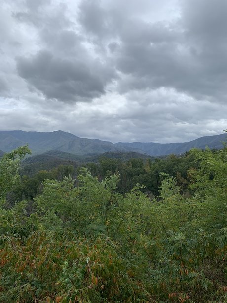 Cd Natalie star best picture