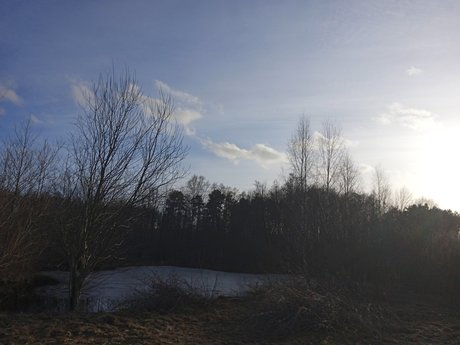 Milisixx best model pics