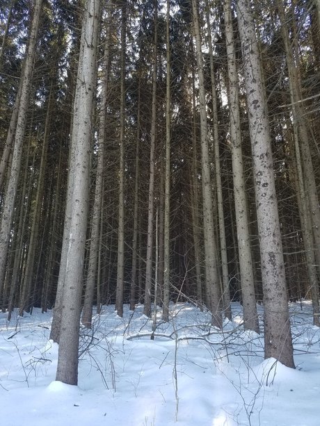 Jason Slate nudes pornstar picture