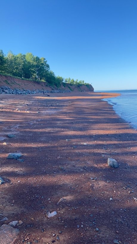 Tali_ sexy star pictures