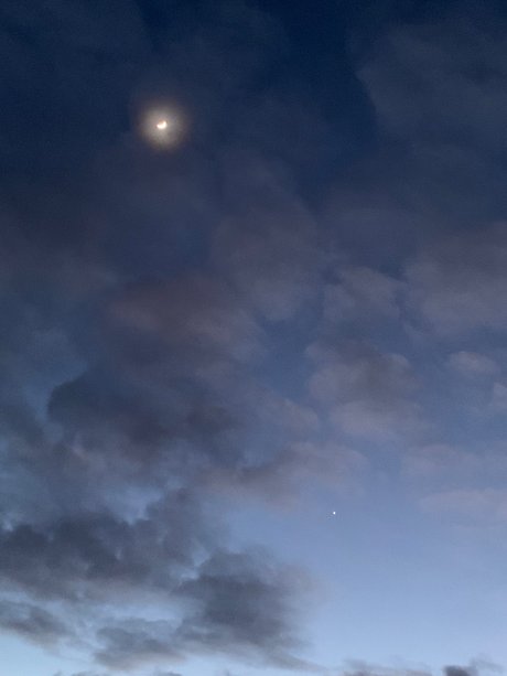 Jordan Finlayson nice actress photo